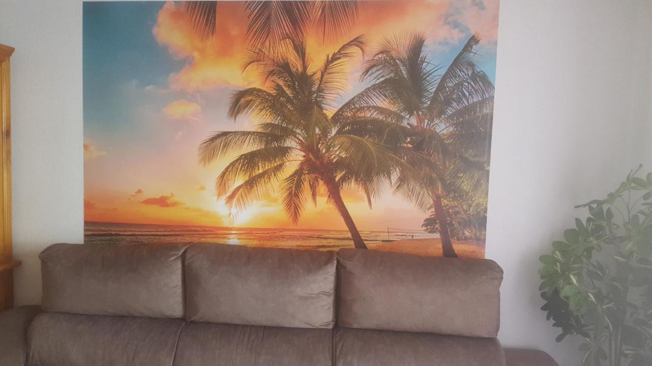 Los Locos San Pascual Torrevieja Exteriér fotografie